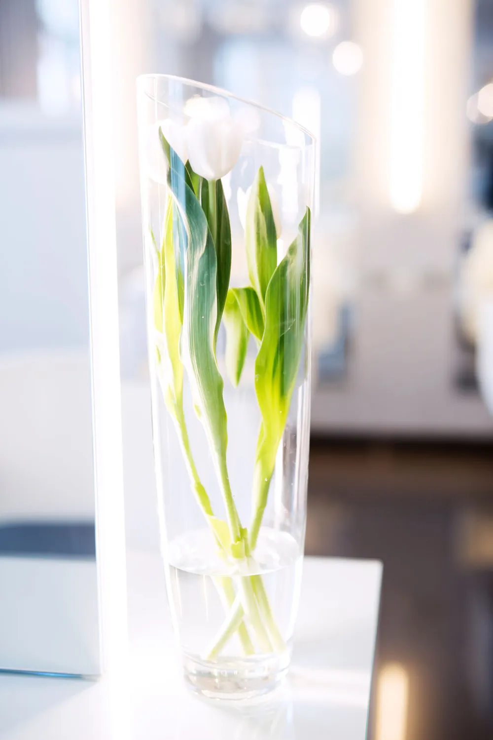 Hvite tulipaner i vase i klinikken