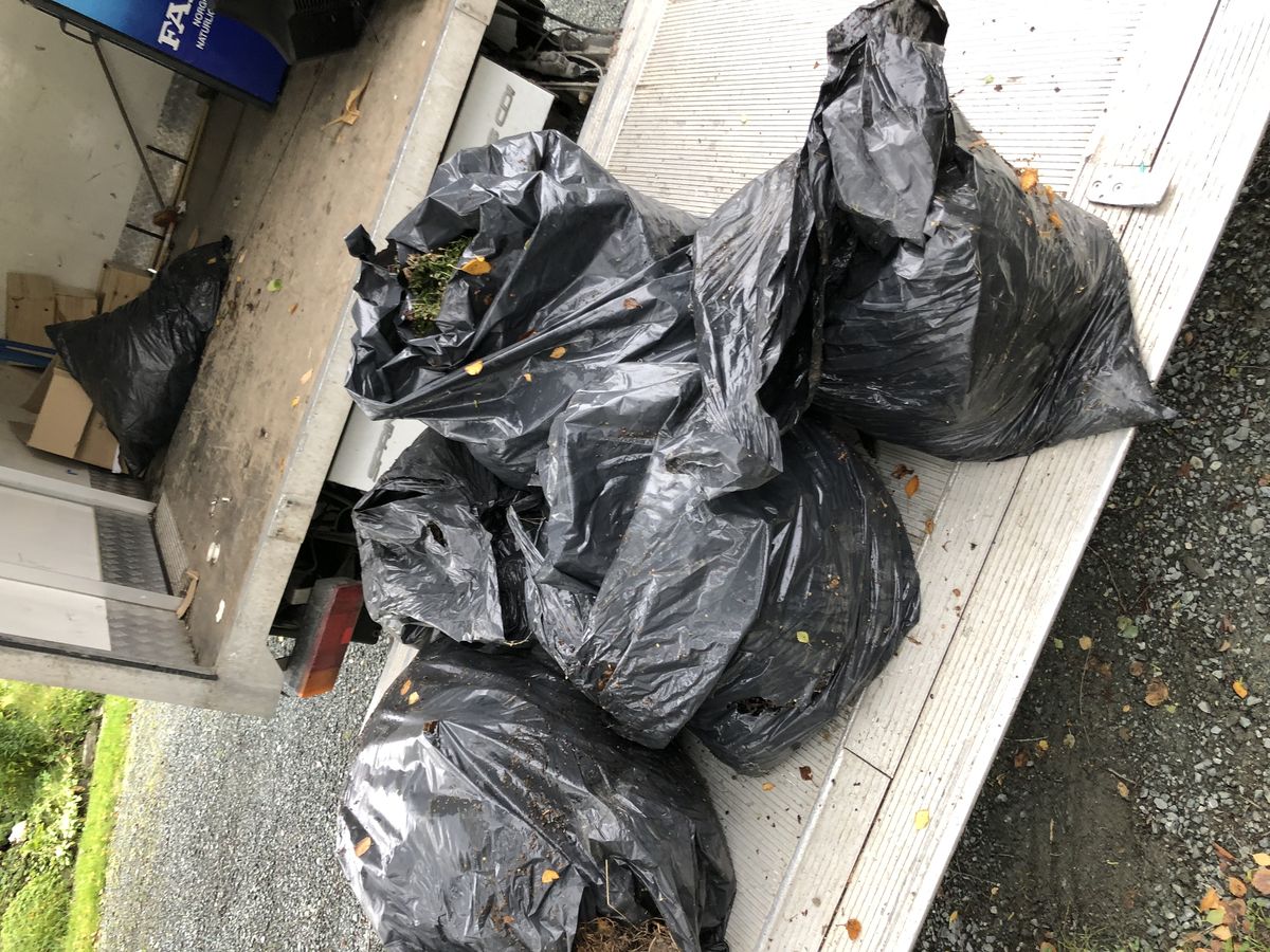 Bortkjøring av avfall med bil i Trondheim