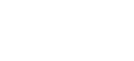 Den norske legeforening
